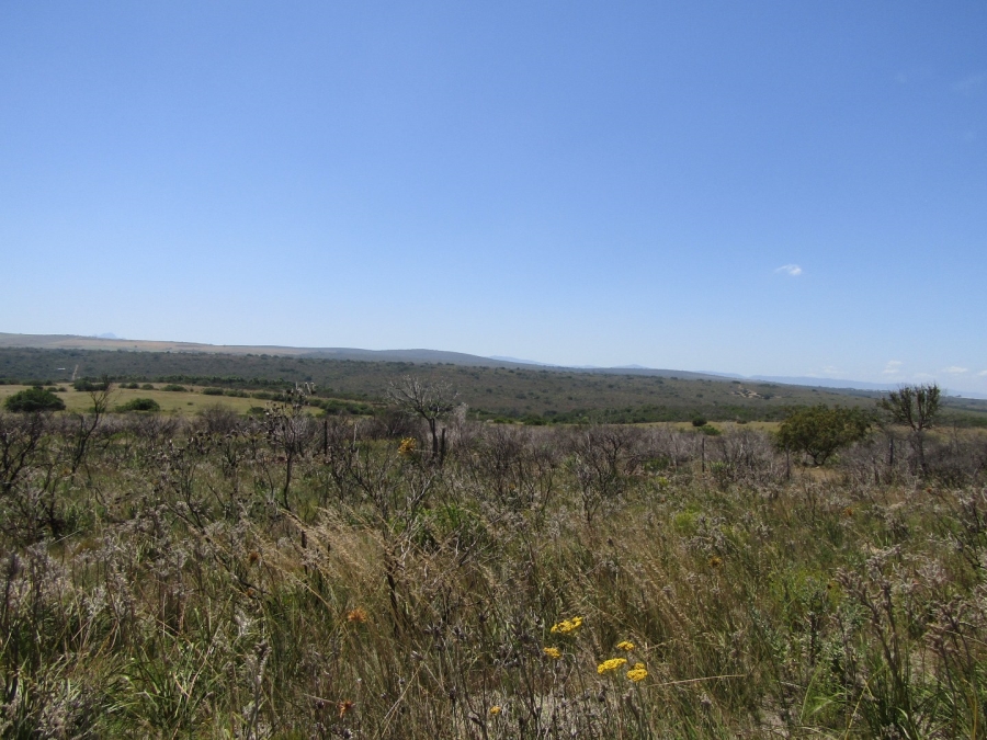 0 Bedroom Property for Sale in Humansdorp Rural Eastern Cape